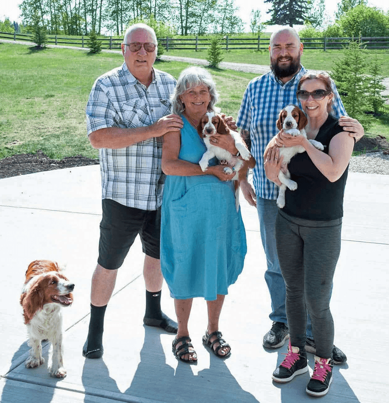 Bruce and Nola wit friends and Welsh Springer Spaniel dogs